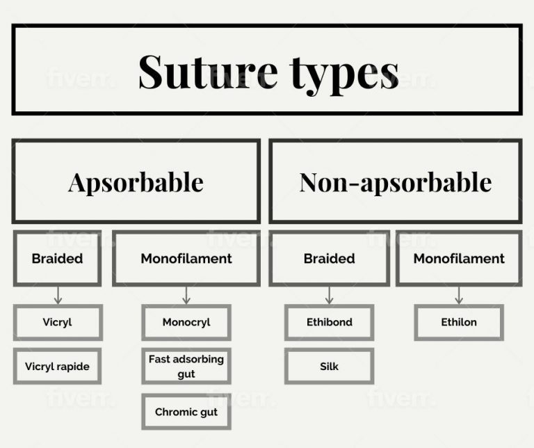 11 Helpful Things About Surgical Sutures You Need to Know (2020)